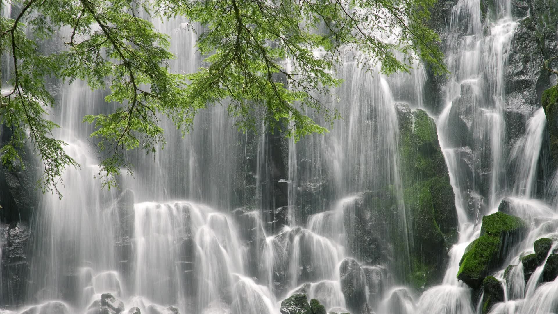2010年的乌拉圭:苏亚雷斯手球救赎后的遗憾,乌拉圭苏亚雷斯咬